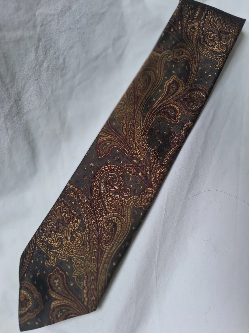 Roundtree & Yorke Men's Paisley Silk Tie in Brown and Gold